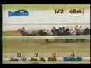 1992 The Rose DeBartolo Memorial Stakes - Magnolia Ravenal 1992 The Rose DeBartolo Memorial Stakes - Magnolia Ravenal