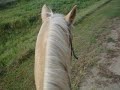 My View-Honey
