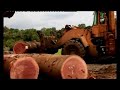 carving up the congo