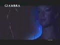 Giambra - Pellicce - Tappeti - teleacras - Agrigento