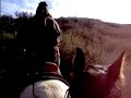 Amuleto and Tango marching up a hill