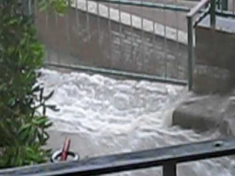 Guarda il video