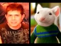 Parecidos CCNV