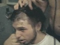 pumpkin pie hair cutted freak - bibo