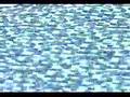 Central Jersey Pools - Foxxx Inground Pools