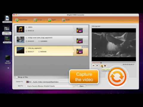 how to apply for dsnap