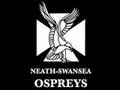 the ospreys song