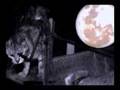    "Moonligth Cat" The Ganjas