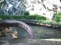 Dollywood - Daredevil Falls