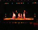 Dance Festival Showreel