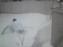 TKX and the snow part 3