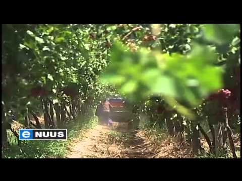 “Wit boere is nie gronddiewe” / “White farmers are not land thieves” “Wit boere is nie gronddiewe” / “White farmers are not land thieves”