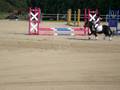 concours à st benoit s/loire