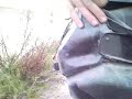 Problemi Zip Sp GML