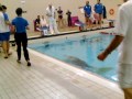 1OOM SPEED APNEA - WORLD RECORD - BEST WORLD PERFORMANCE - 36"36 - THEO PATRICK FOURCADE