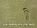 Hypno Holiday : Tropical Beach