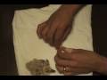 videos de Second attempt at banding baby pigeons