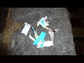 Click here to watch this video La Bomba ( Polenböller ) vs. Bautzner Senfeimer 