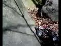 steep rock