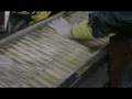 videos de Dulces Famosos