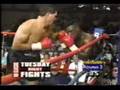 videos de Brutal Merciless Knock Out
