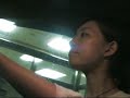 A Night Tour.