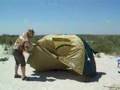 wechsel black stump 2 instant tent (1)