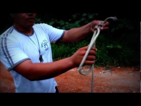 ataque de pitbull