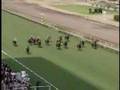 小倉記念動画16