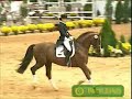 ~Equestrian Dreamers~ ~Equestrian Dreamers~