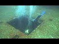 Dive on HMAS Brisbane Dive on HMAS Brisbane