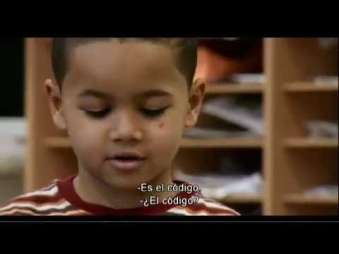 Imagen de previsualización de YouTube
