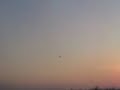 Super Cub First Flight