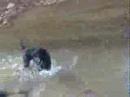 playing in water