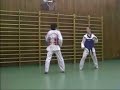 Taekwondo Drills Training