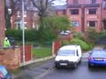 Cow on Shanklin Close, Chorlton Cow on Shanklin Close, Chorlton