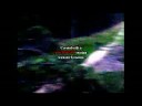 Spotsy Paintball (Mudvayne)