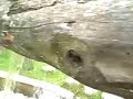 Eau Fontaine Main Tombe  Coule Ondes Eclaboussures  Plaisir
