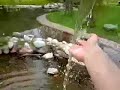 Eau Fontaine Main Tombe  Coule Ondes Eclaboussures  Plaisir