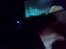 PARTYSHANK LIVE