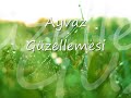 Ayvaz güzellemesi...