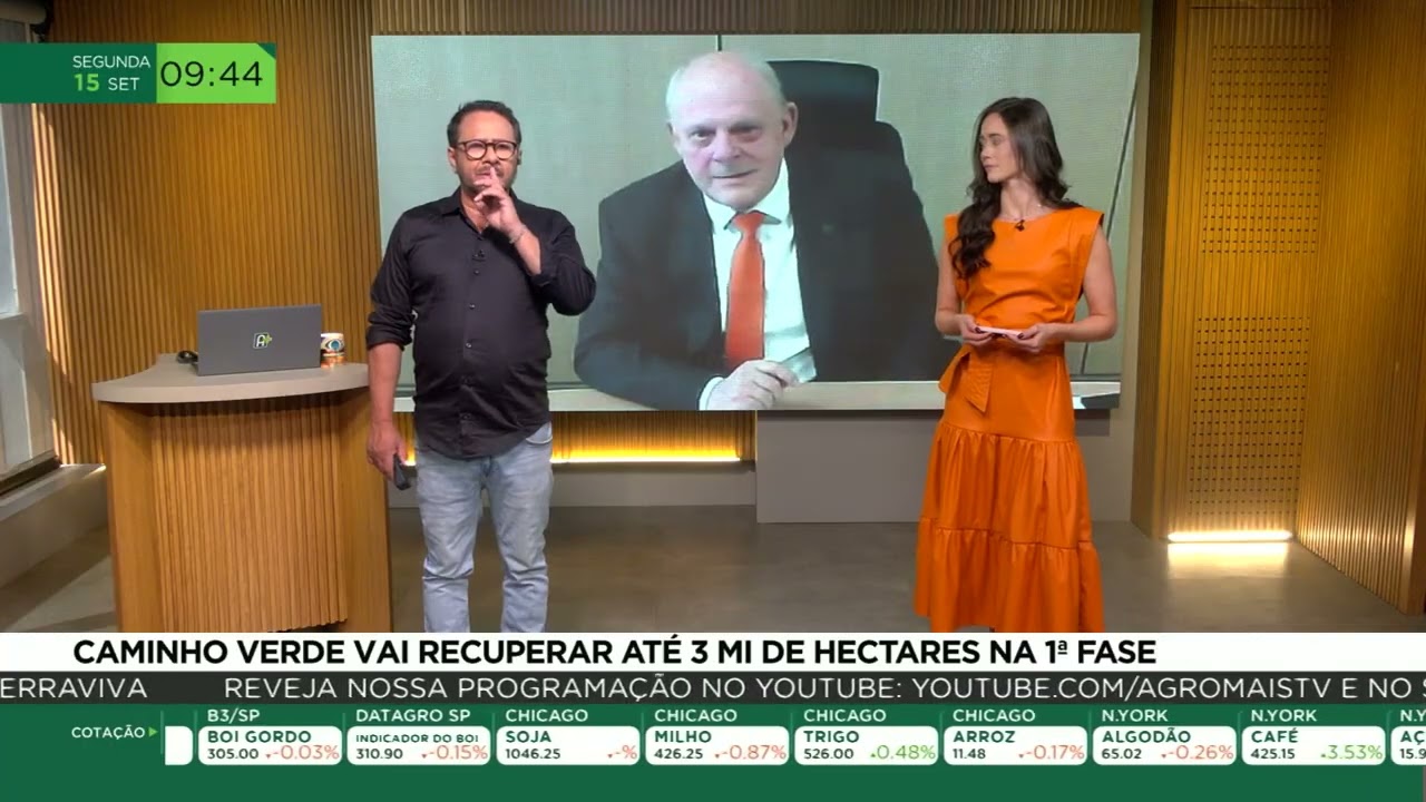 Caminho verde vai recuperar até 3 mi de hectáres na 1ª fase