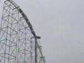 Dorney Park Roller Coasters