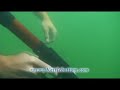 Hunting Blackfish: New England Spearfishing
