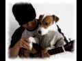 I'm Yours Cover (Jason Mraz Ukulele) by JC Van Luyn