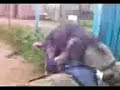 Russian Bum Gets Doggie Loved