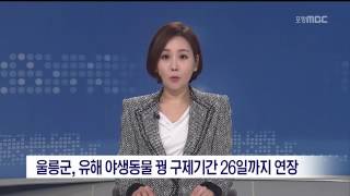 뉴스데스크
