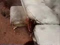 Couch Fire