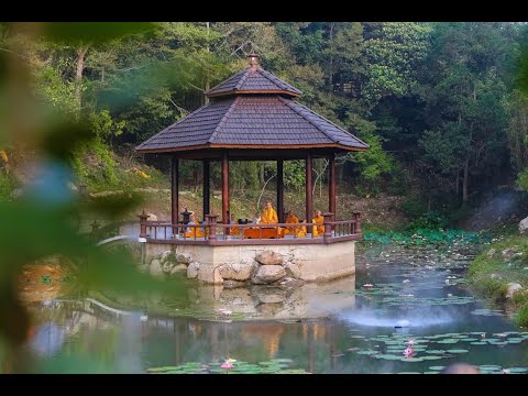 NIKAYA Thiền Quán - Cảm Giác Toàn Thân & Tâm Hiền Sống Trong Ta *