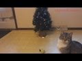 Happy Holidays with Angry Birds.